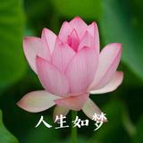 幸福人生7963420552713头像