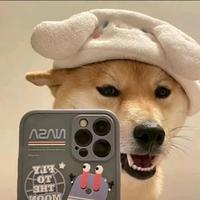 yky376头像