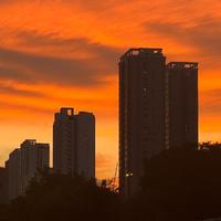 灵敏麻酱JV头像