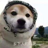 火箭猫猫头像