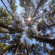 心想事陳的个人资料头像