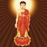 阳光灿烂之春暖花开头像