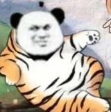我爱肥虎头像