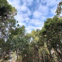 飞行探险日记头像