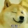 大麦比头像