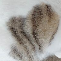 奋发精灵tYF头像