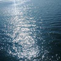 活在当下的啊颠头像