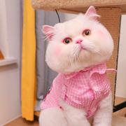 牛逼哄哄的网名的个人资料头像