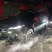 极光L冤种车主头像