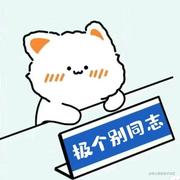 明月何时有的个人资料头像