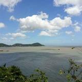 天道酬勤195433395头像