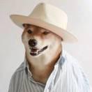 Biu87067的个人资料头像