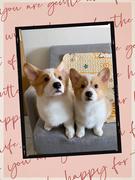 0459的个人资料头像