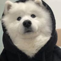 97643192头像