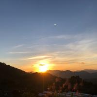 游子芯83头像