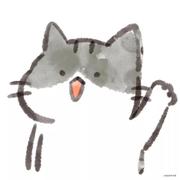 Jiatrox的个人资料头像