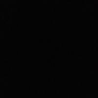 蝉知春夏不知冬头像