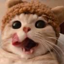 Jiumi108601的个人资料头像