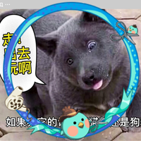 社会吴哥真帅头像