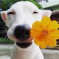 别急等我浪一下头像