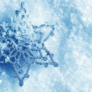 Anson_剑剑的个人资料头像