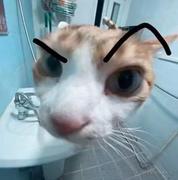 曾经的王的个人资料头像