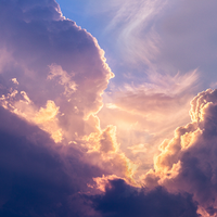 智者哈利3y0头像