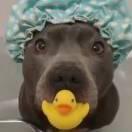 绍博的个人资料头像