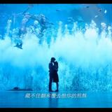 闲鱼周头像