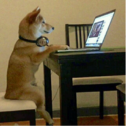 crudBoy的个人资料头像