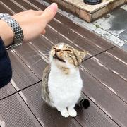 我是咸弟的个人资料头像