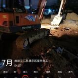 一只好胜的鱼头像