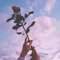 星空剪辑0zTZ头像