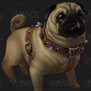 xjn的个人资料头像