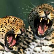 Tie的个人资料头像