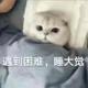一往无前的古月头像