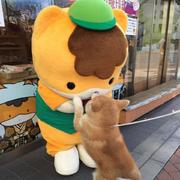 套进我的卫衣的个人资料头像