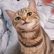 意初的个人资料头像