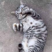 木同661的个人资料头像