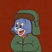 ArdentSailor的个人资料头像