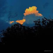 潇似风的个人资料头像