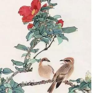 愉悦的饭团Vp头像
