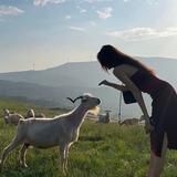 用户5700392318470头像