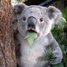 刘勉之的个人资料头像