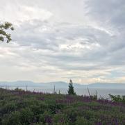 AquaTa的个人资料头像