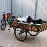 来撞一撞头像