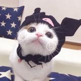 用户1571491900595头像