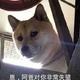 用户84918811716 · 秦PLUS DM车主·车龄3年头像