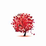 ffghdugy的个人资料头像