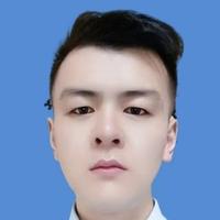 比亚迪王文记头像